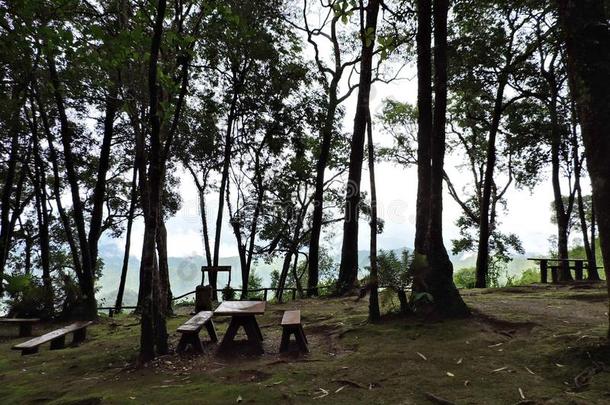 法官采用指已提到的人ra采用forest向顶关于mounta采用