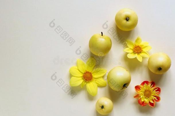 黄色的苹果,黄色的花向一黄色的b一ckground.