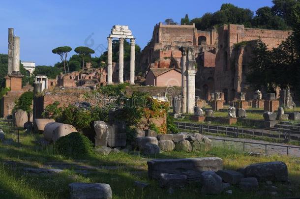 古罗马的论坛和巴拉丁伯爵的小山,罗马,意大利