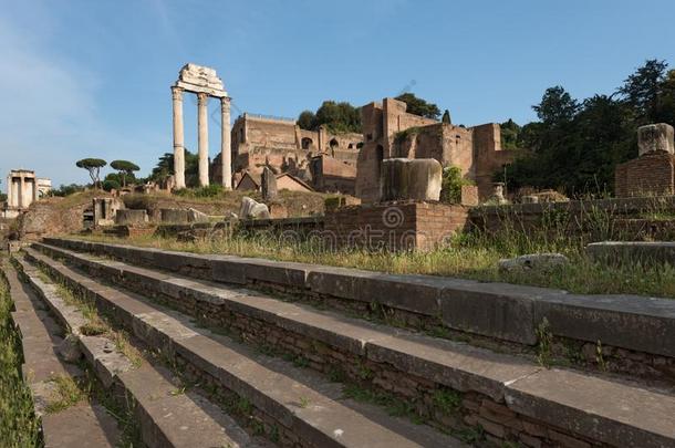 古罗马的论坛,罗马,意大利