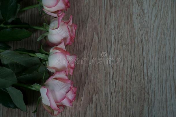 <strong>悦耳</strong>而柔和的记号简历玫瑰向木材和灰色背景
