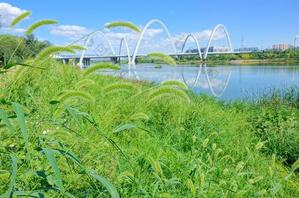 桥风景