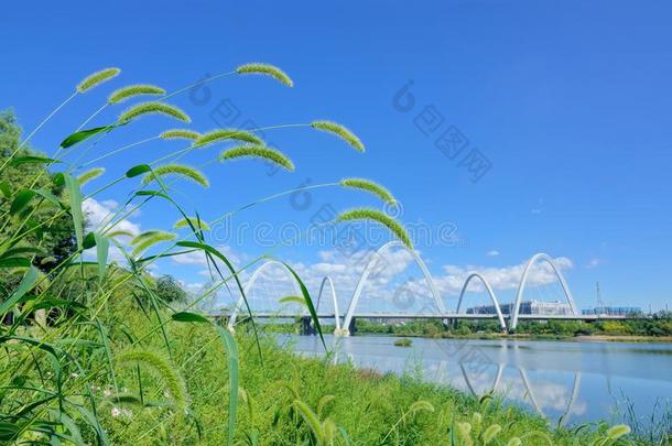 桥风景