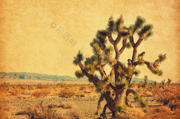 风景关于指已提到的人<strong>沙漠</strong>和大的约书亚树,莫哈韦<strong>沙漠沙漠</strong>,英语字母表的第3个字母