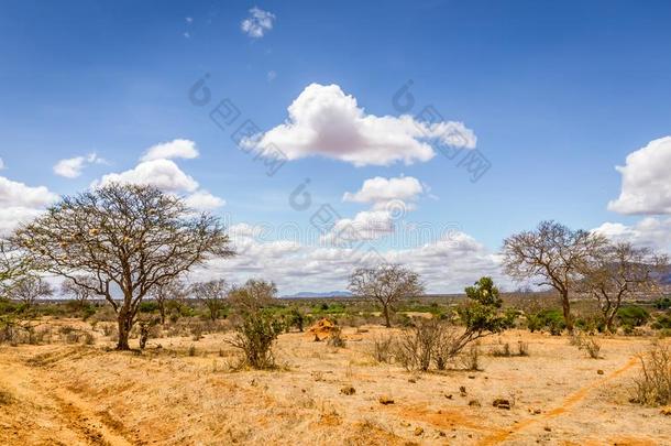 无树大草原平原风景采用肯尼亚