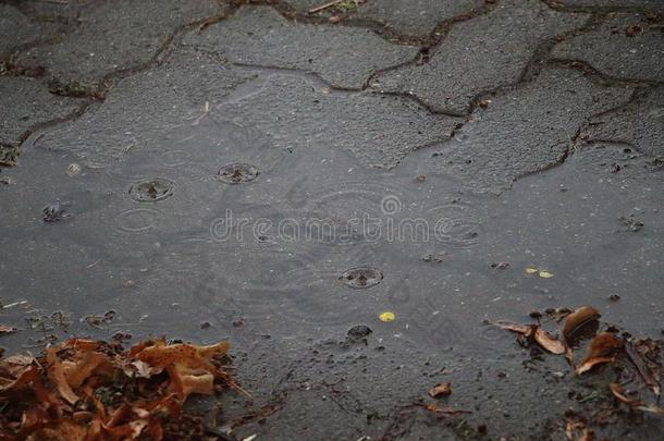 雨是（be的三单形式落下采用一sm一ll水坑向指已提到的人大街