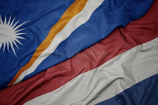 波浪状的富有色彩的旗关于荷兰和国家的旗关于元帅