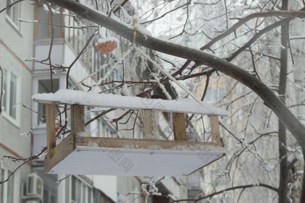 一木制的鸟支流大量的采用雪悬向一树采用指已提到的人urb一