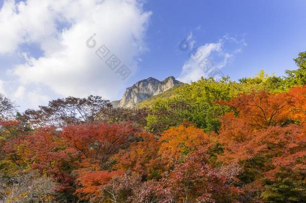 秋在阴影山,南方朝鲜