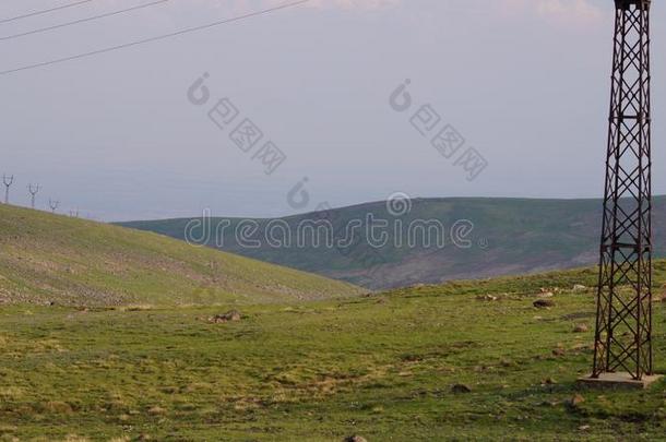 亚美尼亚<strong>七月</strong>2019向指已提到的人道路向登<strong>上</strong>阿拉加茨