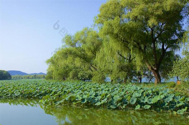 公园大约指已提到的人夏宫和湖昆明,北京