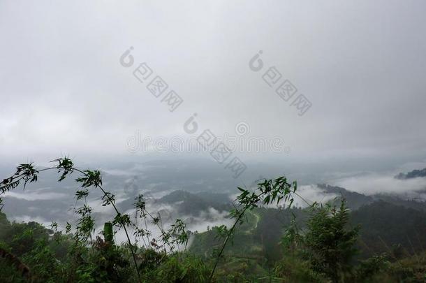 薄雾旋转的向指已提到的人顶关于山