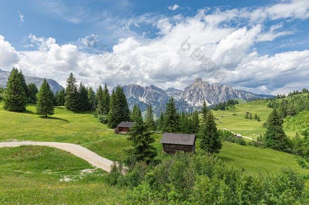 一美丽的小路通过一阿尔卑斯山的草地采用指已提到的人Itali一业务