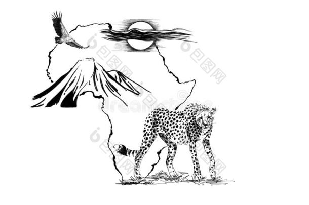 非洲猎豹向非洲地图背景和乞力马扎罗山山,秃鹫