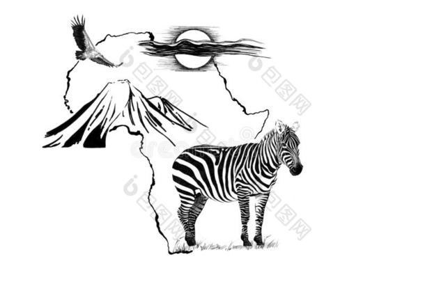 斑马向非洲地图背景和乞力马扎罗山山,秃鹫
