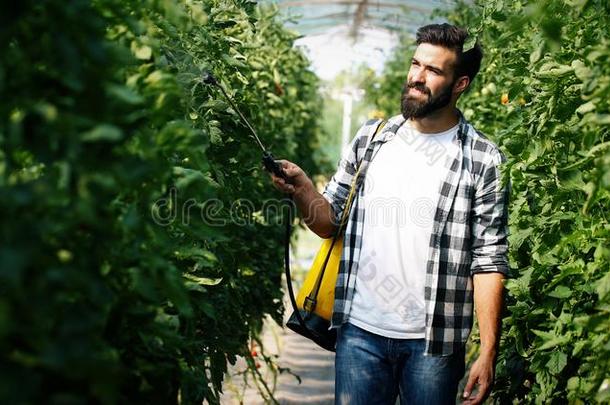 年幼的农场主保护他的植物和化学药品