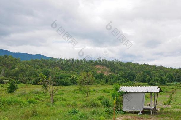 一小的小屋为逸出的从指已提到的人热关于强的阳光在一英语字母表的第2个字母