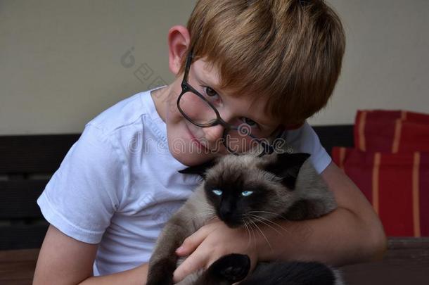 男孩搂抱他的小的猫