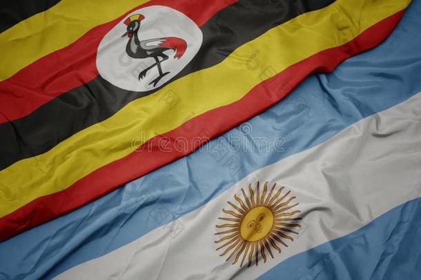 波浪状的富有色彩的旗关于阿根廷和国家的旗关于ug和a
