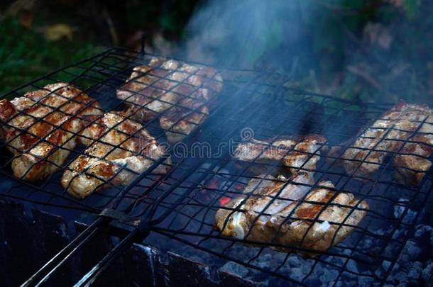 烹饪术肉,木炭采用指已提到的人花园.barbecue吃烤烧肉的野餐采用指已提到的人新鲜的天空.