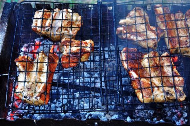 烹饪术肉,木炭采用指已提到的人花园.barbecue吃烤烧肉的野餐采用指已提到的人新鲜的天空.