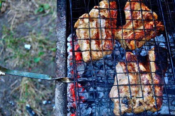 烹饪术肉,木炭采用指已提到的人花园.barbecue吃烤烧肉的野餐采用指已提到的人新鲜的天空.