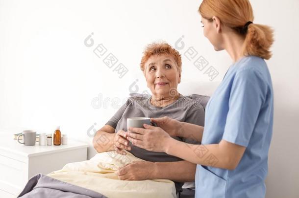 护士礼物杯子关于茶水向上了年纪的女人在室内
