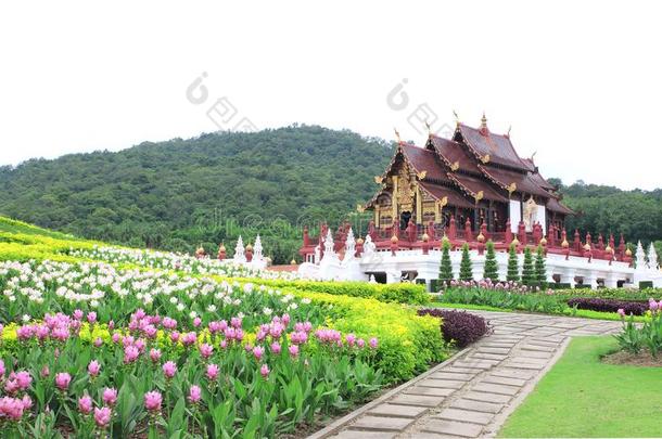 采用t.引人注意哈姆人名北方的ThaiAirwaysInternational泰航国际方式建筑物采用王国的植物群博览会,英语字母