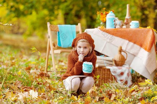 值得崇拜的小的女孩向野餐郊游采用秋公园.漂亮的小的女孩