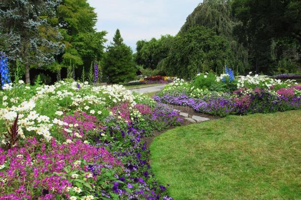 美丽的颜色鲜艳的混合的花床在<strong>范</strong>库弗峰斯坦利公园英语字母表的第16个字母