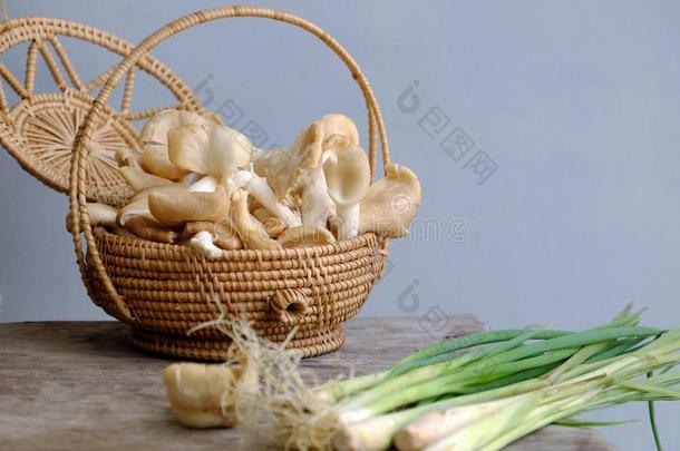 鲍鱼蘑菇,香茅植物,越南人严格的素食主义者食物ingredient配料