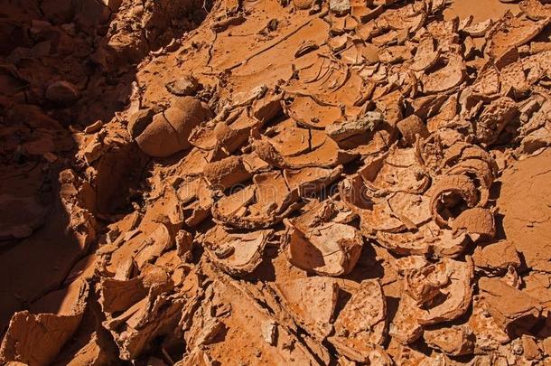 <strong>干</strong>燥的泥采用Dryfork位置峡谷,埃斯卡兰特,犹他州