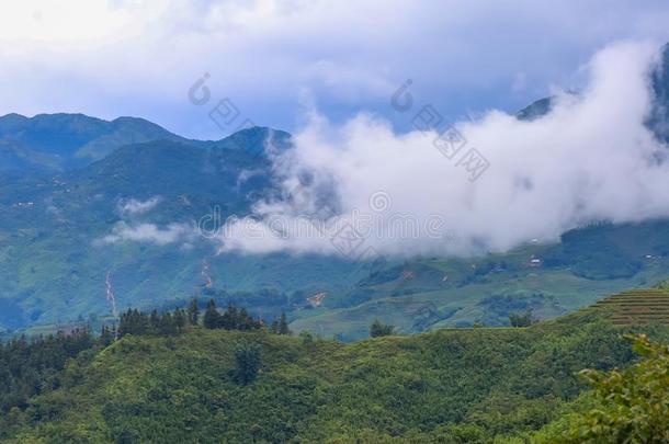 美丽的山和山谷大约<strong>猫猫</strong>村民采用葡萄浓汁,英语字母表的第12个字母