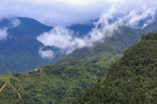 美丽的山和山谷大约<strong>猫猫</strong>村民采用葡萄浓汁,英语字母表的第12个字母