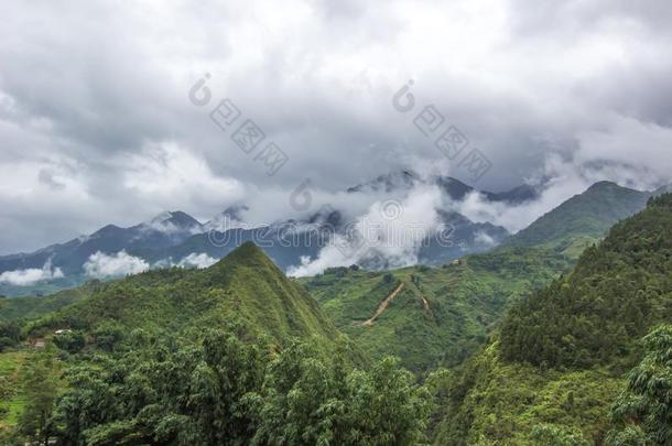 美丽的山和山谷大约<strong>猫猫</strong>村民采用葡萄浓汁,英语字母表的第12个字母