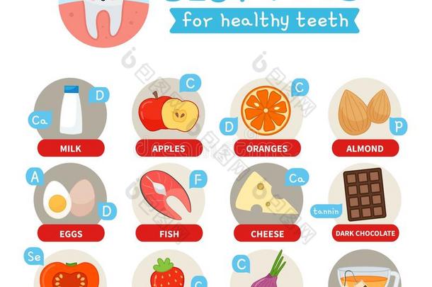 矢量海报最好的牙齿的健康状况乘积.