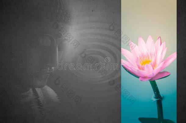 佛和莲花花和平关于生活和智慧从亚洲人雷利