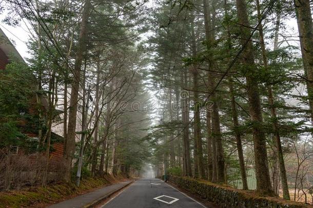 轻井泽春季风景大街看法