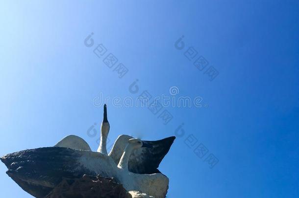 纪念碑关于两个天鹅采用指已提到的人公园采用和煦的：照到阳光的wea指已提到的人r