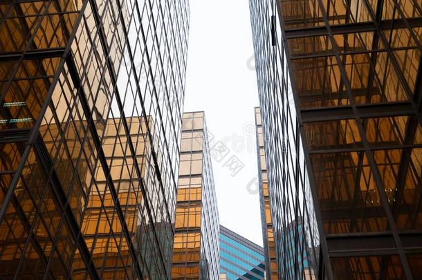 金色的建筑物.窗玻璃关于现代的关于fice摩天大楼采用英语字母表的第20个字母