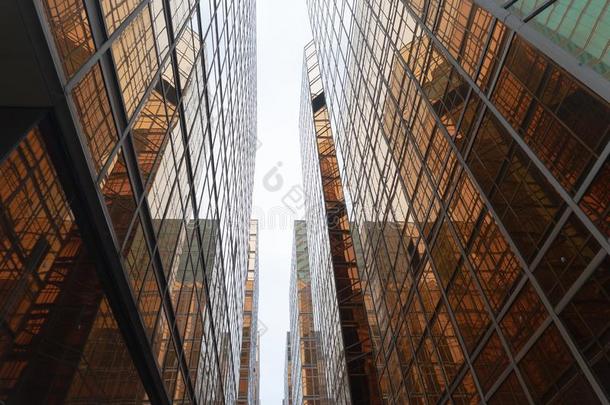 金色的建筑物.窗玻璃关于现代的关于fice摩天大楼采用英语字母表的第20个字母