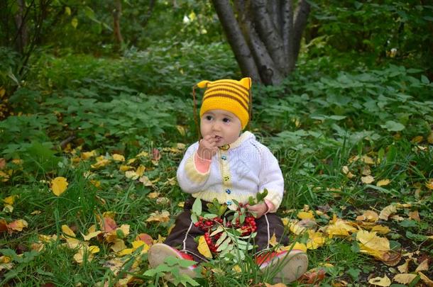 漂亮的婴儿吃欧洲花楸浆果