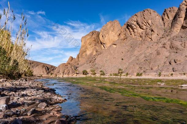 新鲜的河采用美丽的沙漠<strong>绿洲</strong>自然风景采用<strong>绿洲</strong>