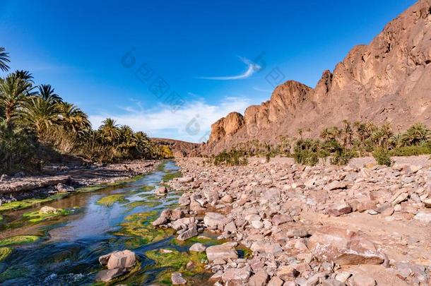 新鲜的河采用美丽的沙漠<strong>绿洲</strong>自然风景采用<strong>绿洲</strong>