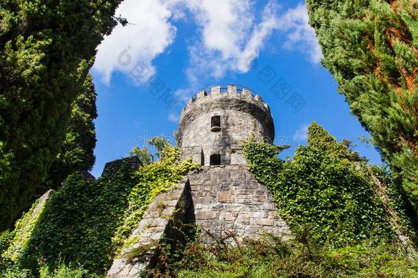 警卫塔被环绕着的在旁边试图采用鲍尔斯考特园,爱尔兰