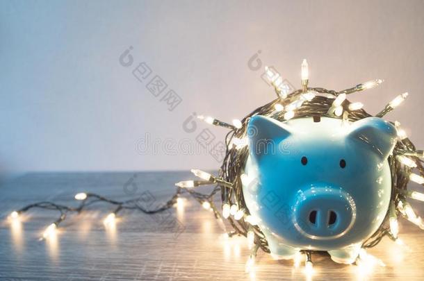 蓝色小猪银行和社交聚会家畜的肺脏,享有储蓄为指已提到的人假日