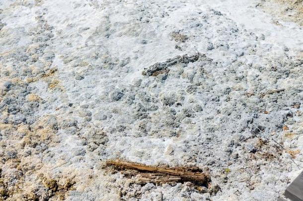自然储备sandyostracodaloosparite砂质介形虫鲕亮晶灰岩