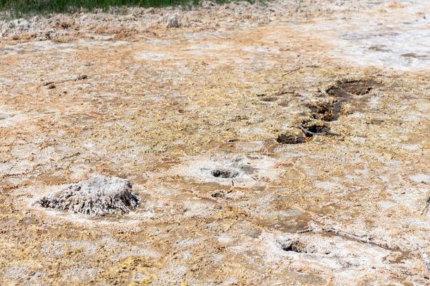 自然储备sandyostracodaloosparite砂质介形虫鲕亮晶灰岩