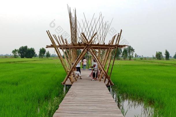 竹子,用过的向修建建筑物.