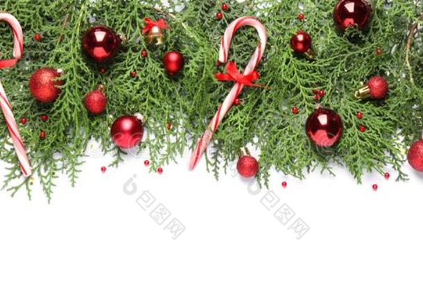 金钟<strong>柏树</strong>枝和圣诞节装饰向白色的背景